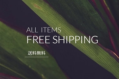 Free Shipping