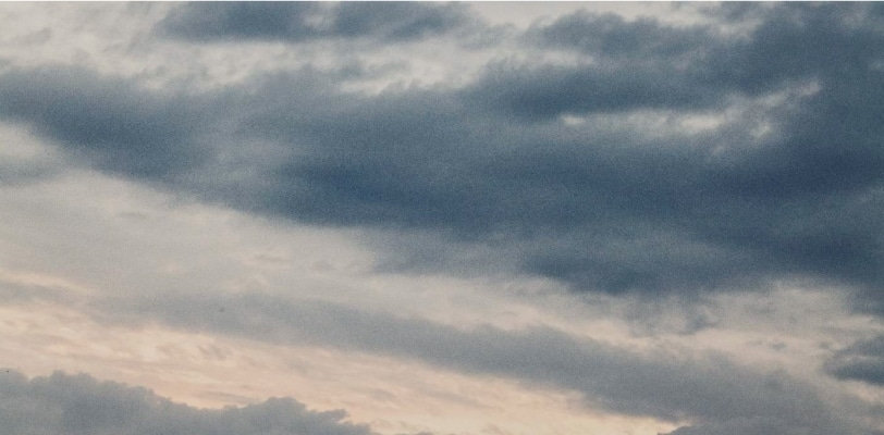 <div><br /><center><br />and cloudでは持続可能な社会の実現に向けて、<br />自然保護のためのドネーションプログラムをご用意。<br />and cloud membersにご登録の上お買い物いただくと、<br />お買い上げ額￥110（税込み）につき、<br />1ポイント付与させていただきます。<br />ポイントは「お客様ご自身へのOFF」または、<br />1ポイント＝￥1として<br />森林保全団体「more trees（モア・トゥリーズ）」への<br />寄付かをお選びいただけます。<br /></center><br /></div>