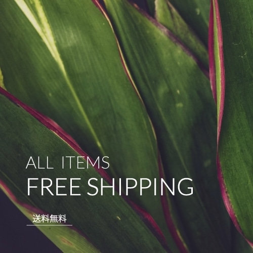 FREE SHIPPING