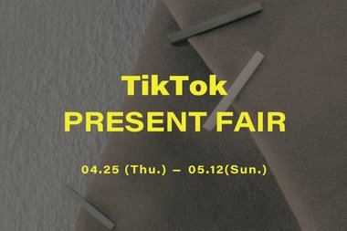 TikTok Present Fair